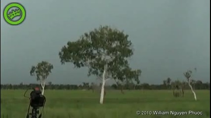 Невероятната сила на природата