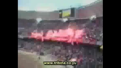 Delije Sever - Istina