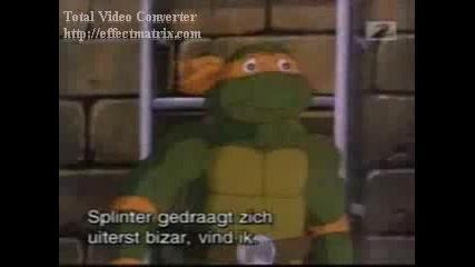 Splinter Vs The Ninja Turtles