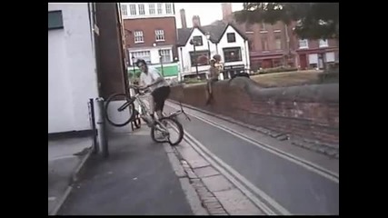Zoo Trial crashes