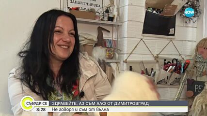 "Здравейте! Аз съм Алф от Димитровград": Не говоря и съм от вълна