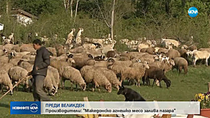 Производители: Македонско агнешко месо залива пазара