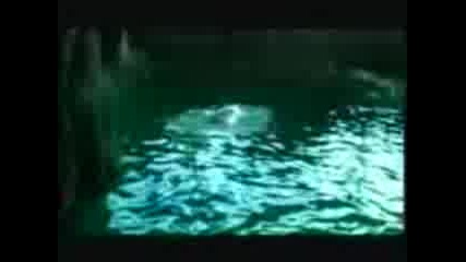 Gloria - 100% Jena