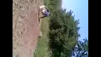 Sps Extreem