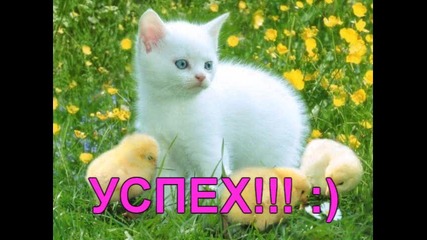 3 - ти кръг!резултатите от конкурса ми.. :) 