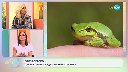 Какъв се оказа неканеният гост на Диляна Попова - „На кафе” (07.09.2023)