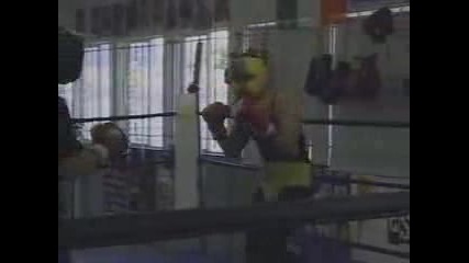 Jackass (knoxville Knockout)