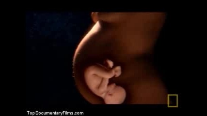 National Geographic - In The Womb
