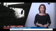 "Заедно за Хитрино": Ние можем да помогнем на живите
