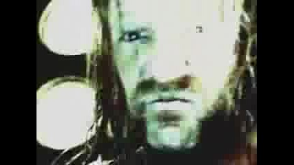 Hhh Triple H music video 
