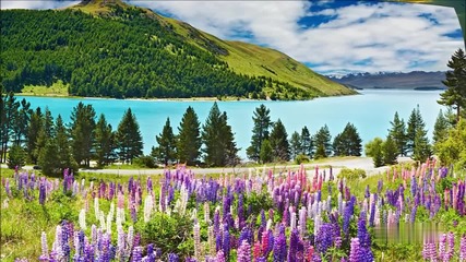 Flowers of the Forest - Mike Oldfield
