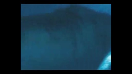 Highlander: The Source Trailer 