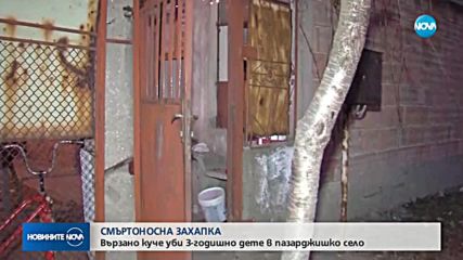 Домашно куче уби 3-годишно дете