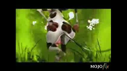 Crazy Cow 2 Baby Come Back 