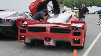 Ferrari Fxx Evolution Insane Start - up Sound!