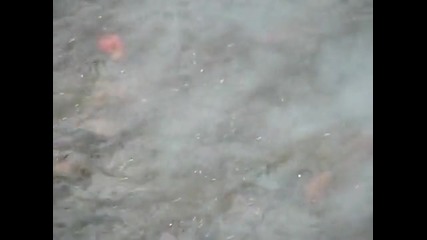 реакция на натрий във водата
