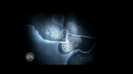 Need for Speed Carbon Full Intro