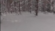 Riding in the woods - Snowboarding