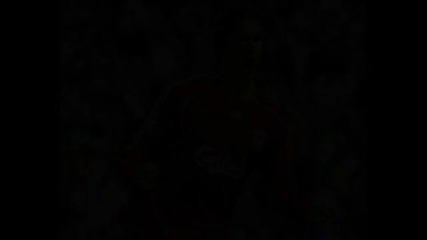 Fernando Torres - Forever Young