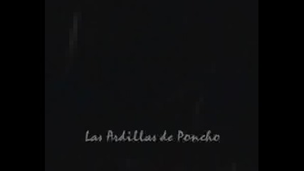 Hablan Los Rbd Puerto Ordaz
