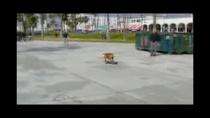 куче кара skateboard 