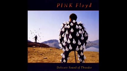 Pink Floyd - Delicate Sound of Thunder 1988 (full album)