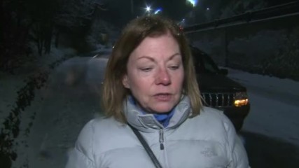 Снежна буря затрудни празничните пътувания в САЩ