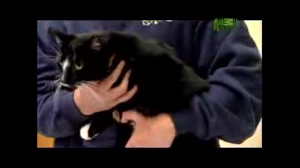Animal Cops Philly - Evaluating Piper