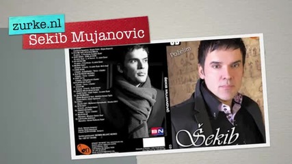 Sekib Mujanovic - Zlatni pecat na svili *2011*