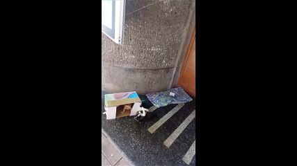 Vid_20230812_122625.mp4