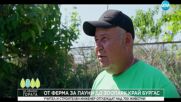 Да хванеш гората (20.07.2025)