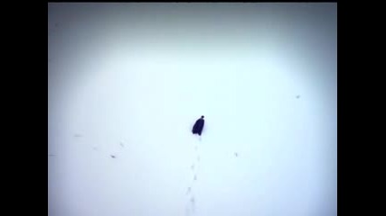 Metallica - King Nothing 