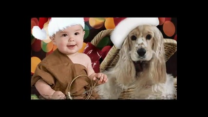 Весела Коледа и Честита 2011година Merry Christmas and Happy New Year 