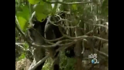 Man vs Wild s05e02 Северна Австралия - Part 3 