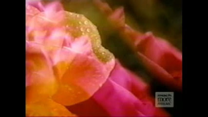 Stevie Wonder - Send one your love (1979)