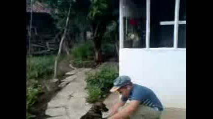 Mov00804