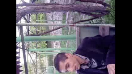 златин девня