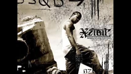 Xzibit - What You See Is What You Get 