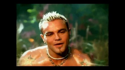 Crazy Town Butterfly 
