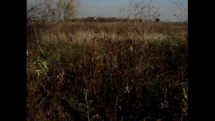 Токачки