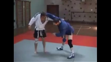 самбо тренировки