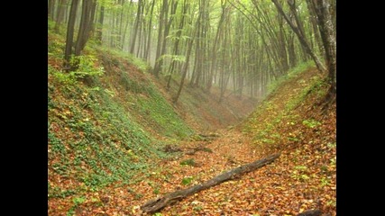 Планетата земя (красота)!!!