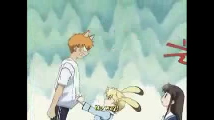 Fruits Basket