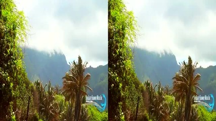 Hawaii Nature Scenes with Relaxing Music # 4
