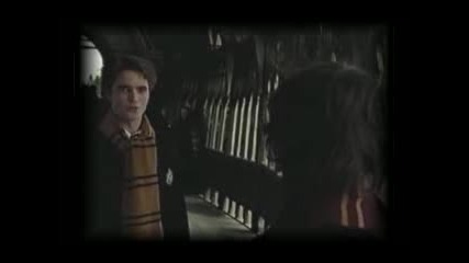 Harry Potter - HermioneViktor Cedric Harry low