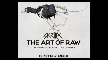 *2013* Skrillex - The art of raw