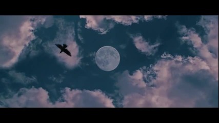 Trigger Point - My Time