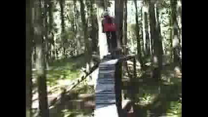 Mountain Bike Xc Freeride