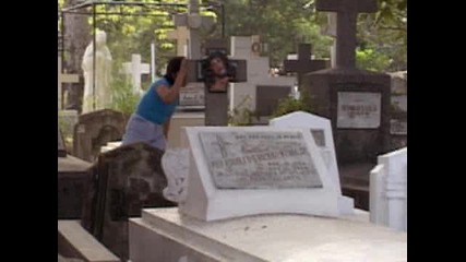 Video - - Animals, Travel, Kids - - National Geographic6 