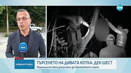 Жена е подала сигнал, че леопардът в Шумен е пресякъл пътя ѝ
